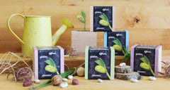 Feel Green Message Cube, Holzwürfel Mit Lasergravierter Glücksbohne"Merry Xmas", Nachhaltige Geschenkidee, 100% Eco Friendly, Anzuchtset, Made in Austria