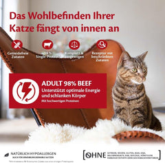 Wellness CORE 98% 12 x 85g, Boeuf - Nourriture humide pour chats, pâté épais, sans céréales, naturelle, hypoallergénique, riche en protéines, riche en viande