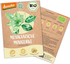 Mini graines de concombre mexicaines biologiques, 10 graines de concombre, taux de germination élevé, certifiées Demeter et pollinisation ouverte | LOVEPLANTS Graines de légumes pour lit surélevé de jardin de balcon - Variétés de légumes d'héritage