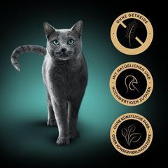 Hrană umedă pentru pisici SHEBA, Colecția Nature's în sos cu curcan, 2 x 11 x 85g