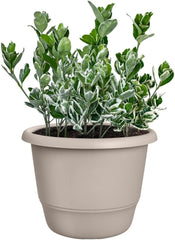 elho Amiga Round 30 - Pot de fleurs intérieur et extérieur - 100% plastique recyclé - Ø 29,5 x H 20,2 cm - Beige/Beige Champignon