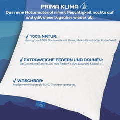 LINEA by Böhmerwald - Cosy - Oreiller Balance de haute qualité, 80X80, 70% plumes classe 1, 30% duvet neuf, adapté aux allergies, lavable jusqu'à 60°C, fabriqué en Allemagne Oreillers standards Naty Shop