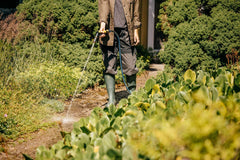 Fiskars Tuyau d'arrosage S, Série X, Tuyau d'arrosage pour arrosage manuel, 13 mm (1/2"), Longueur : 15 m, Raccord universel, Protection UV, Protection contre le gel, Résistant à la torsion, Bleu, 1076044