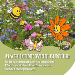 LouMaxx Ensemble de bombes de graines faites à la main 10 x 3, cadeau de bombe de graines, graines de fleurs comme cadeaux de fête, graines durables pour cadeaux de fête d'enfants, boules de jardinières respectueuses de l'environnement avec plus de 50 types de graines de fleurs