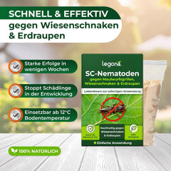 Legona Sc-Nematoden Zur Bekämpfung Von Maulwurfsgrillen - 50 Mio. Für 100M² / 250L Blumenerde/Bio Schädlingsfrei Gießmittel Für Rasen Und Beet