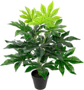 Künstliche Blattpflanze Im Topf Aralie 60 Cm Monstera Seidenblumen Real Touch Grün Kunstpflanzen Pflanzen Aralienpflanze Deko Dekopflanze Grünpflanze Seidenpflanze Zimmerpflanze Kunstblume Büropflanze