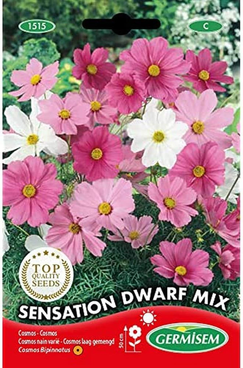 Corbeille à bijoux, multicolore, EC1515