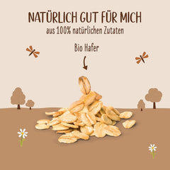 Allos Bio Haferdrink Barista | Alternative alimentaire au Hafer | Schaumbarer Drink sur la base de Pflanzen | Parfait pour le café Boisson végétalienne et sans lactose | 1 litre (6 pièces)