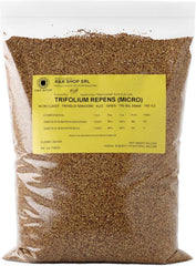 R&R SHOP - Rasensamen, Mikro-Klee Trifolium Repens, Kein MĂ€hen Erforderlich, Begehbar Und Bodendecker (200G â 50MÂČ)
