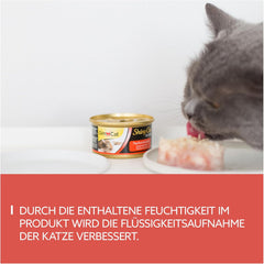 GimCat ShinyCat in Jelly Thunfisch mit Lachs - Nassfutter mit Fisch und Taurin for Katzen - 24 Dosen (24 x 70 g)