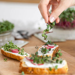 Microgreens Samen Set Von Owngrown - 8 Sorten BIO Sprossen Und MikrogrĂĽn Saatgut Im Microgreens Starter Set - Alfalfa, Rucola, Kresse FĂĽr Kresse Anzuchtschalen Uvm - Sprossen Samen