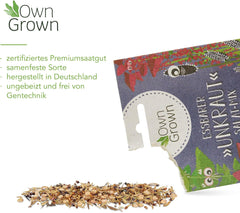 Wildkräuter Samen : Bunte Premium Kräuter Samen Mischung mit Löwenzahn Samen, Sauerampfer, Spitzwegerich uvm – Unkraut Samen Mix für Garten, Balkon – Kräuter Pflanzen Saatgut alte Sorten von OwnGrown