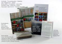 SAFLAX - BIO - Pissenlit - 400 graines - Taraxacum officinale