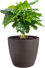 elho The Coffee Collection, pot d'intérieur rond, 18 cm, en marc de café et plastique recyclé - marron/marron expresso