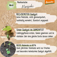 Semințe de castraveți mini mexicani organici, 10 semințe de castraveți gustare, rată mare de germinare, certificate Demeter și polenizate deschis | Semințe de legume de la LOVEPLANTS, pentru balcon, grădină, strat înălțat – Soiuri de legume Heirloom