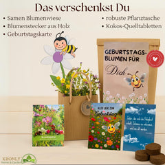 Cadeau d’anniversaire, kit de plantation de fleurs d’anniversaire, sac cadeau surprise, cadeau d’anniversaire pour femmes, graines de fleurs pour plantation individuelle