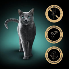 Hrană umedă pentru pisici SHEBA, Colecția Nature's în sos cu somon, 2 x 11 x 85g