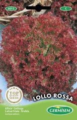 Gartensalat LOLLO ROSSA, Mehrfarbig, EC6013