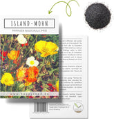 Mélange de graines de pavot d'Islande (Papaver nudicaule) - De magnifiques coquelicots à fleurs avec une longue période de floraison pour une prairie fleurie colorée (pavot d'Islande)