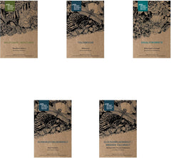 Plantes de prêle légendaires - Ensemble de graines avec 5 plantes magiques