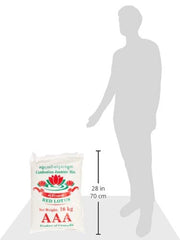 Riz parfumé/riz au jasmin, grain long, qualité AAA, 1 paquet (1 x 18 kg)