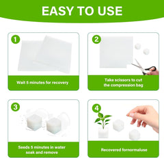 Laine de roche, laine de roche de propagation, 2 pièces, éponge hydroponique, 200 pièces après coupe - Alternative pour serre, germination des graines et légumes domestiques