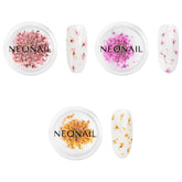 NÉONAIL Nail Art Flowers Set - Trockenblumen - Getrocknete Blumen - Nageldesign Zubehör - Nageldekorationen - Getrocknete Blüten - Décoration d'ongles - Gelnägel Zubehör - 3 Farben - Rosa, Lila, Orange