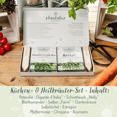 Set de semințe premium organice Plantaluz P03 – Set de semințe pentru plante culinare și medicinale pentru grădină, balcon și interior – incl. bețe de plantare FSC – Semințe organice polenizate liber, netratate și fără OMG-uri