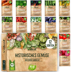 BIO Historisches Gemüse Samen Set I Seltene U. Alte Gemüsesorten Samen Im Gemüsesamen Set I Gemüse Anzuchtset I Samenfestes Saatgut I Samen Gemüse Als Gemüse Samen Set I Tolles Garten Geschenk