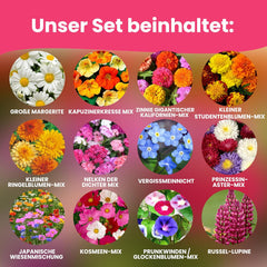 Semințe de flori LERAVA (12 soiuri) - plante perene, rezistente la iarnă - semințe pentru grădină și balcon - germinare rapidă pentru semănat ușor - amestec de flori care necesită întreținere redusă pentru înflorire continuă