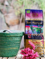 El Gusto San Marcos Café spécialisé | Ganzen Bohnen Mittlere Röstung | Café gastronomique avec Schokoladenaroma mit leichter Zitrussäure | Café 100 % Arabica du Costa Rica | Café de spécialité | 250 g