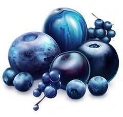 Colorant alimentaire en poudre colorant naturel Fruity Line BLEUET 20G colorant naturel en poudre pour crèmes glaçage pâte éponge en poudre colorant alimentaire pour boissons gelées