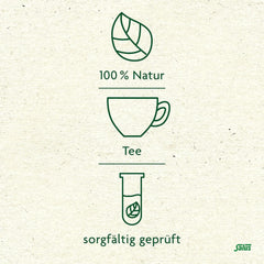 Salus - Ceai de măceșe și malva - 1X 15 pliculețe filtru (45 g) - Ceai de fructe - Compoziție din măceșe și flori de hibiscus african - Răcoritor - Bio