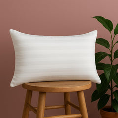 Coussin décoratif tendance pour la maison, soutien lombaire hypoallergénique, pour la maison, l'extérieur, le canapé, lavable en machine, 12 "x 20"