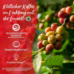 Senseo Pads Extra Strong, 5 x 16 Getränke, 80 Kaffeepads