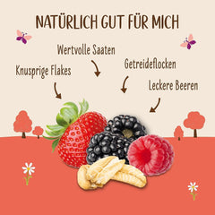 Allos Hof Granola aux baies | Muesli biologique | Muesli aux baies | Muesli croustillant | Céréales pour le petit déjeuner | Pack de 6 (6 x 300g), 1 pièce (pack de 6)