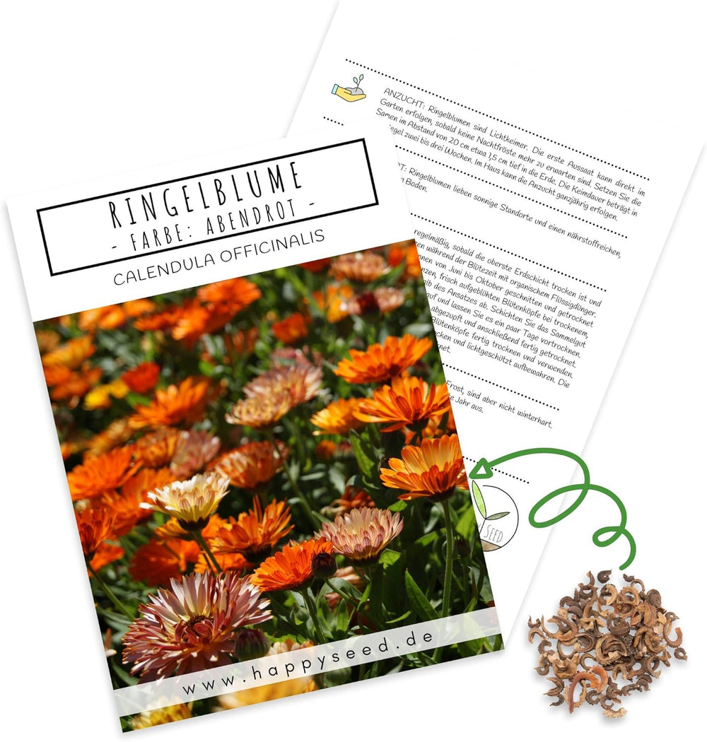 Graines de Calendula (Calendula officinalis) - Plante médicinale polyvalente aux fleurs comestibles et idéale pour une prairie fleurie colorée (Abendrot)