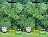 Grünkohl CURLY, Mehrfarbig, EC3018 (Packung Mit 2)
