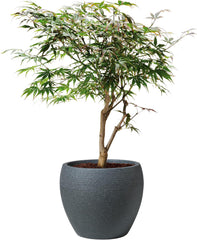 Scheurich Lineo, jardinière en plastique, granit noir, diamètre 30 cm, hauteur 24,1 cm, volume 11 l.