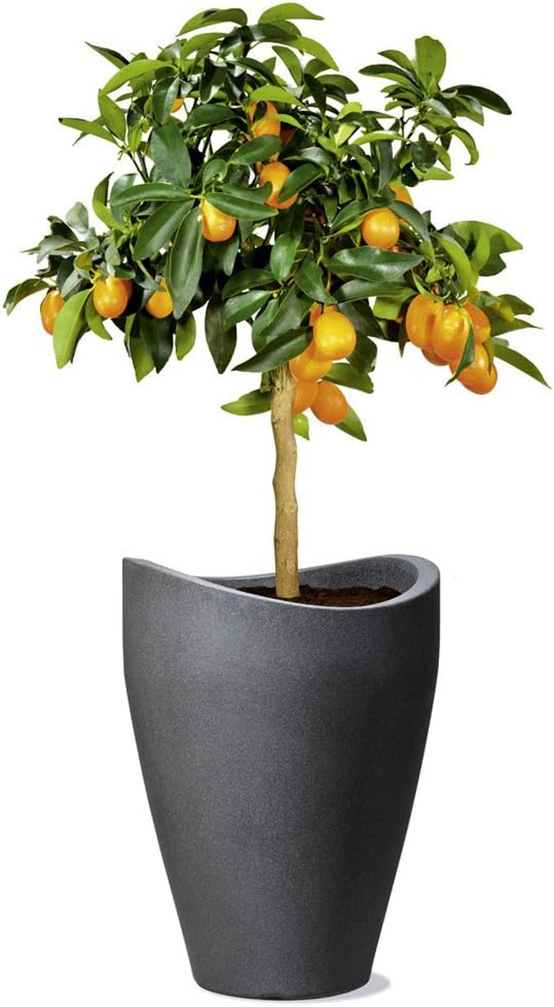 Scheurich Wave Globe High, récipient haut en plastique, granit noir, diamètre 29,8 cm, hauteur 40 cm, volume 6 l.