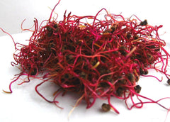 500 G BIO Keimsprossen Mischung -Vitamin Cocktail MIX- Keimsaat 5 X 100 G Samen Für Die Sprossenanzucht Rote Rüben, Mangold, Sonnenblumen, Alfalfa, Weizen Sprossen Microgreen Mikrogrün
