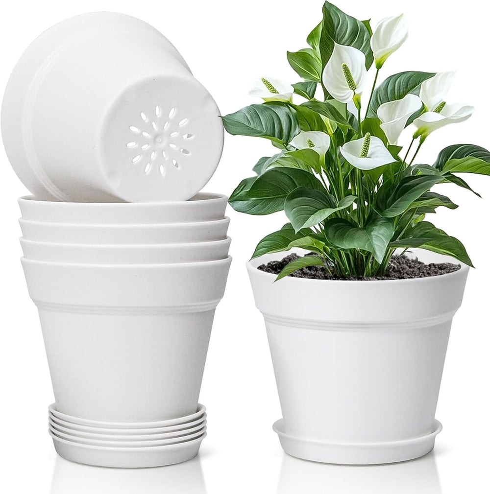 T4U Pot de Fleur en Plastique de 16 cm avec Soucoupe, Ensemble de 6 Pots à Herbes en Plastique avec Plusieurs Trous de Drainage, Pot Rond pour Plantes Succulentes d'intérieur et de Balcon, Cactus, Blanc