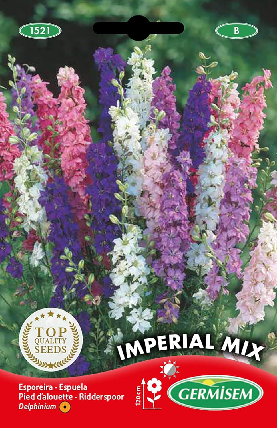 Sommer-Rittersporn EC1521 grande couleur