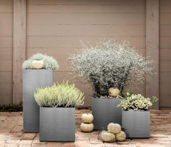 Pot Dehner Palermo, env. 40 x 40 x 33 cm, plastique, gris