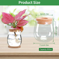 Stație de creștere a plantelor hidroponice, 12 x 11 cm, vază pentru semințe de avocado, ghiveci din sticlă, vază hidroponică din sticlă pentru plante acvatice sau flori, decor de masă pentru birou, 2 bucăți