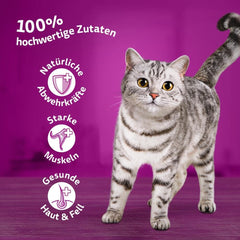 Whiskas 1+ nourriture humide pour chats au poulet en gelée, 28x85g (1 paquet) - Nourriture humide de haute qualité pour chats adultes en sachets de 28 portions