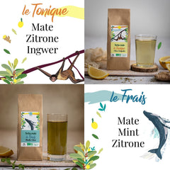 ORIGEENS COFFRET THÉ BIO MATE X4 I Yerba Mate Bio 4X80G I Coffret thé Yerba Mate, idée cadeau