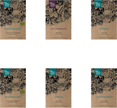 Magic Garden Seeds - Ensemble de graines de semence pour plantes vertes avec 6 prĂ€chtigen alten Blumensorten fĂŒr den Bauerngarten - Blumensamen alte Sorten - Blumen Samen - Garden Geschenk