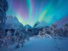 Ravensburger Puzzle 12000802 - Wenn Die Nordlichter Tanzen - Puzzle 1500 pièces pour adultes à partir de 14 ans Puzzle Naty Shop Titre par défaut