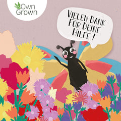 Mélange de fleurs Butterfly Meeting : 100 g de graines de fleurs de papillon de qualité supérieure – Graines d'abeilles respectueuses des insectes, graines de fleurs vivaces et annuelles pour les prairies – Graines de fleurs sauvages de OwnGrown